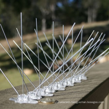 Outdoor stainless steel bird spikes plastic pigeons bird spikes for pigeons and other small birds